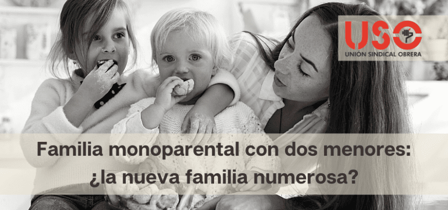 Resumen de 36+ artículos: como hacerse familia monoparental ...