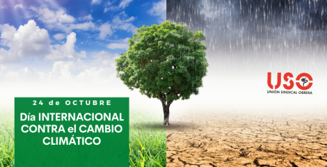 Día Internacional contra el Cambio Climático: reflexiones y acciones hacia la COP29