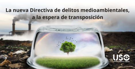 La nueva Directiva sobre delitos medioambientales, a la espera de transposición