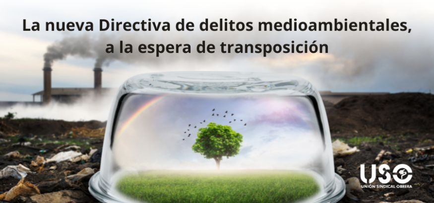 La nueva Directiva sobre delitos medioambientales, a la espera de transposición