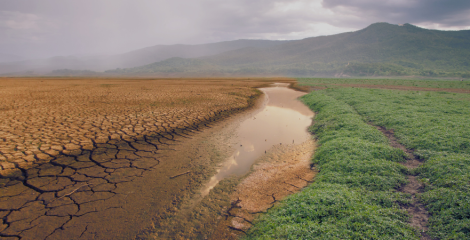 Urge la acción climática para proteger el planeta y las condiciones de vida