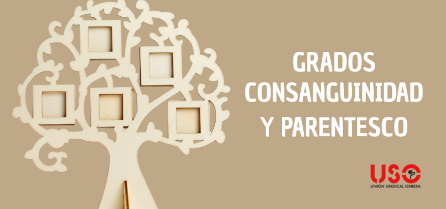 ¿Qué es el grado de consanguinidad? ¿Quién es familiar de primer/segundo grado?